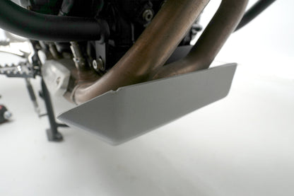 Skid Plate (Bash Plate) - Aluminum - BMW F850GS & ADV / F750/800GS